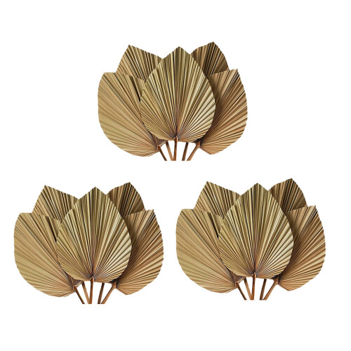 Folhas de Palmeira Secas para Decoração de Quarto 15 Peças - 18 Polegadas H X 10 Polegadas W  Decoração Natural em Folha de Palmeira para um
