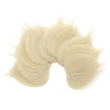 Natural Rubber Tree Skeleton Leaves 6 Inch for DIY Crafts Scrapbooking Wedding Decor 100 Pcs