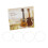 Practical Ukulele Nylon Strings for Easy Installation and-U100 1