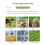 Electric Fence Controller Pulse Pig Cattle Sheep Farming Complete High Voltage Electronic Fence System EU Plug 4