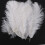 30 Pieces White Natural Ostrich Feather 20-25cm Wedding DIY 2