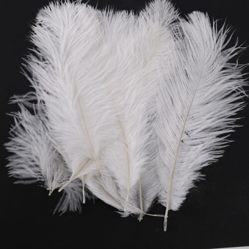 30 Pieces White Natural Ostrich Feather 20-25cm Wedding DIY 1