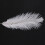 30 Pieces White Natural Ostrich Feather 20-25cm Wedding DIY 5