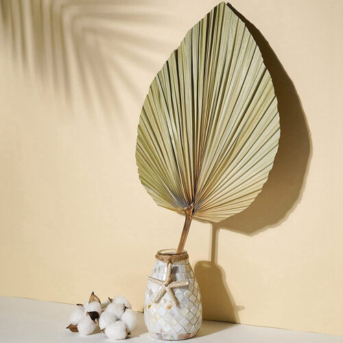 Folhas de Palmeira Secas para Decoração de Quarto 10 Peças - 18 Polegadas H X 10 Polegadas W  Decoração Natural em Folha de Palmeira para um 2