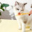 Pet Feeder Spoon Cat Snack Liquid Food Squeeze Tools Multifunctional Cat Feeding Spoon White 5