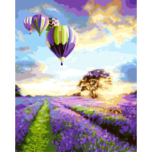 Paint by Numbers for Adults Balloon DIY Oil Painting Kit BeginnerFriendly StressRelief Canvas