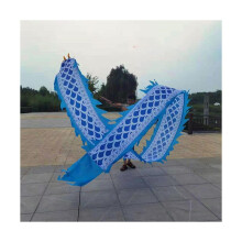 10m Dragon Dance Ribbon with Weighted Head for Outdoor Fitness and Chinese Performance Events