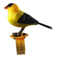 Talking Parrot Toy with Voice Activated Playback, Interactive Singing Bird Gift Model B for Kids