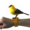Talking Parrot Toy with Voice Activated Playback, Interactive Singing Bird Gift Model B for Kids 2