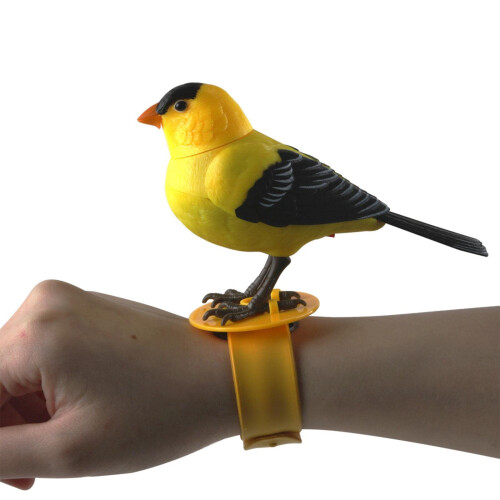 Talking Parrot Toy with Voice Activated Playback, Interactive Singing Bird Gift Model B for Kids 1