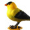 Talking Parrot Toy with Voice Activated Playback, Interactive Singing Bird Gift Model B for Kids 3