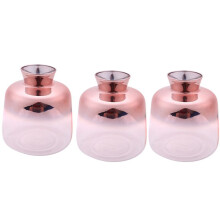 3X Vaso di Vetro Vaso di Fiori Nel Vetro Nordico Placcato Oro Vaso per Decorazioni (9X11 cm)