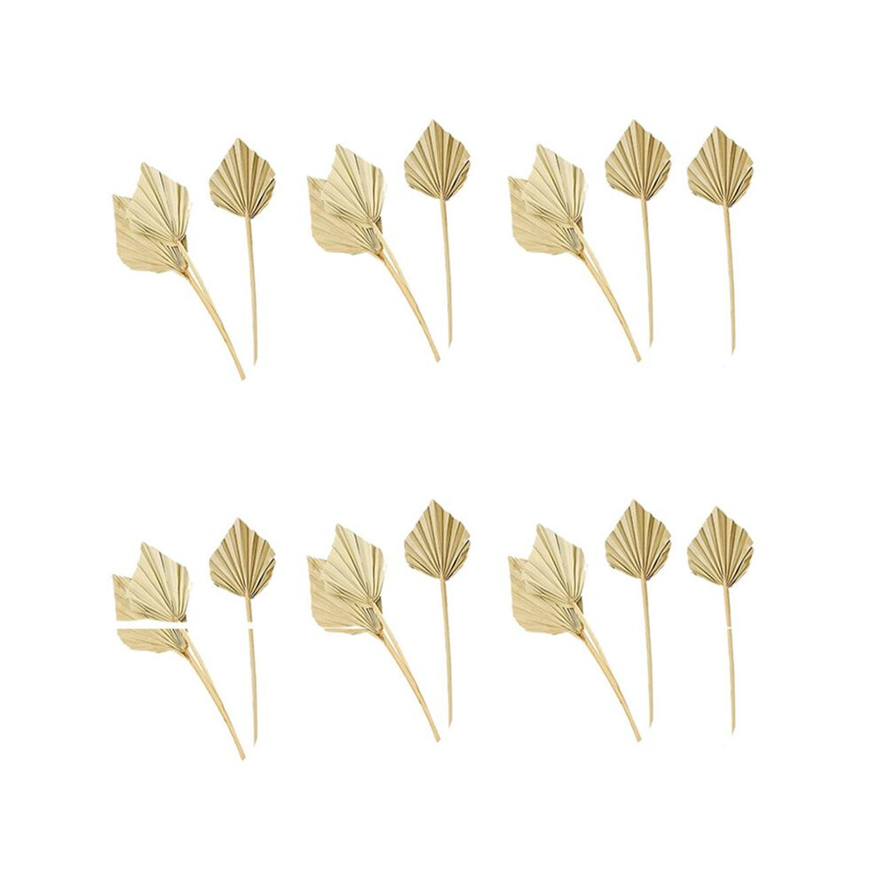 Brecantia 20 Pcs Boho Dried Spears Natural Dried Fans Dried Leaves Dried Leaf Fan Leaf With Stem
