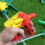 24 Pcs Heavy Duty Chemical Resistant Trigger Sprayer Spray Bottle Nozzle 4
