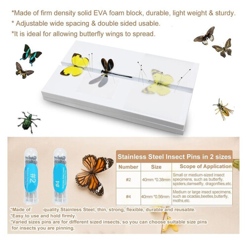Making Insect Specimen Tools Kit, Insect Specimen Collection Display for Bug Hobbyist/Biology Projects 1
