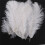 60 Pieces White Natural Ostrich Feather 20-25cm Wedding DIY 5