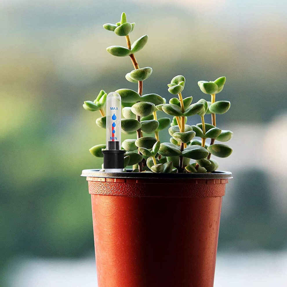8 Pieces Flower Pots For The Water Level Indicator Of Indoor Plants, Very Suitable For Hobby Gardeners 6032862385654