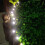 Solar Powered Small Speaker Ground Light Outdoor Path Light Garden Light Atmosphere Decorative LED Light 5