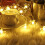 Decorative Flower String Lights, 33ft 80 LED Blossom Lamp for Home and Garden 6