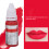 8pcs Lip Microblading Practice Ink Set 120ml | Semi Permanent Pigments 11