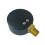 Professional Design Plastic Pool Pressure Gauge For Residential 6