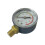 Professional Design Plastic Pool Pressure Gauge For Residential 7