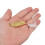 Leech Shape Metal Spinner Baits for Salt & Freshwater 10g 3