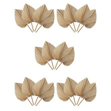 20 Pieces Natural Dried Leaves are Perfect for Leaf Decor, Boho Decor, Home Decor, Wedding