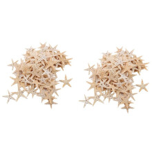 200Pcs Natural Starfish Seashell Beach Natural Sea Stars DIY Beach Wedding Decoration Crafts Home Decor 1-5cm