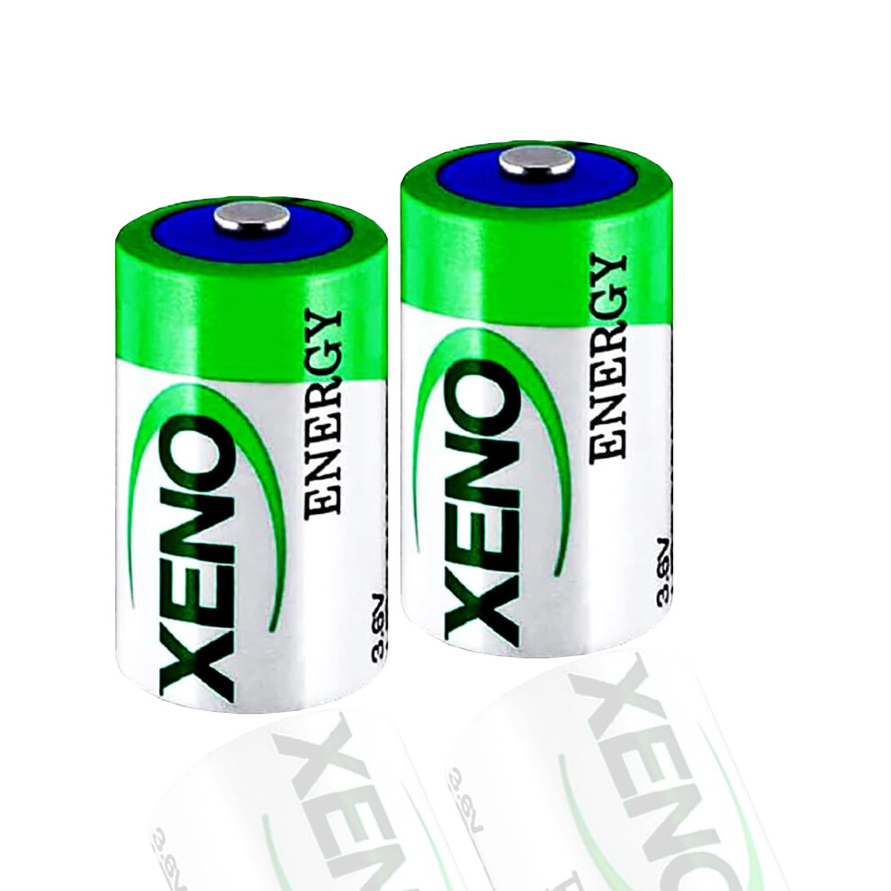 (2Pack) Xl205f 3.6V 19000Mah Lithium Thionyl Chloride D Battery For Plc And Alarm System Long Backup 9771547542674