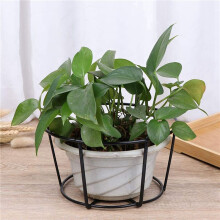 8 Pièces Garde-Corps Suspendus Jardinières Porte-Pots de Fleurs Plante Fer Supports Clôture Métal en Pot Support Monté Balcon Paniers Petit