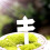 400PCS Plant Labels Plastic Nursery Garden Tags 5
