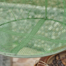 5 Schicht Faltbarer Angeln Korb, Eingetaucht im Einen Netz Fisch KäFig, Um Den Fisch im Wasser Am Leben zu Halten. Angeln ZubehöR GroßEs Loch