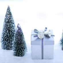68 Pcs  Christmas Tree Snow Frost Small Pine Tree DIY  Desktop Decoration Christmas Ornaments Tree Decorations