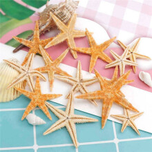 200Pcs Natural Starfish Seashell Beach Natural Sea Stars DIY Beach Wedding Decoration Crafts Home Decor 1-5cm