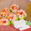 8 Pezzi Musubi Maker Stampi per Presse Antiaderente Spam Musubi Maker Kit 3