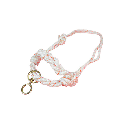 Effective Cattle Tractions Halter Nylons Leads-flower trumpet