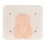 Infant Circumcision Training Model, Student Teaching Surgery Circumcision Model for Surgical Practice 5