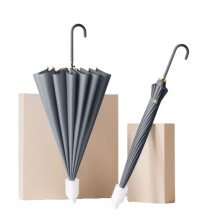 Windproof Umbrella Automatic Open Close for 2 People, Large 16Rib Curved Handle, Dark Grey