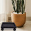 Support Pour Plante Noir Roues Mobile Durable 3