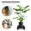 Support Pour Plante Noir Roues Mobile Durable 4