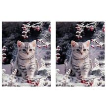 2X DIY Diamant Schilderij Kit Volledige Boor voor Volwassen/Kind, Sneeuw Kitten Diamant Borduurwerk Kristal Strass voor Thuis Muur Decor