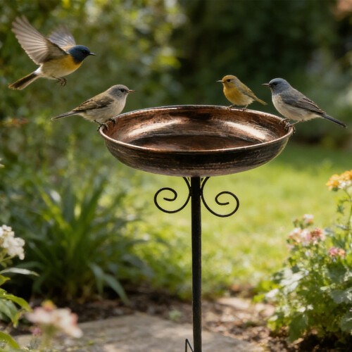 Unique Decorative Bird Water Tray-Wrought iron two bir 2