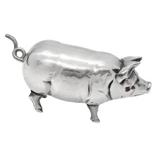 Meetlint Hoge precisie meetlintliniaal voor-Zilver 1 Trompet