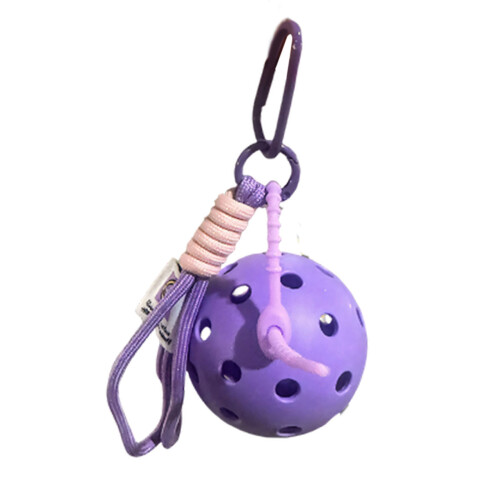 Multifunctional Pickleballs Decorstions Ornament-Purple