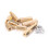 600X Messing M2 Hex Spalte Standoff Support Spacer Schraubenmutter Sortiment Kit 4