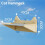 Suction Cup Wall Cat Climbing Frame Wall Type Hammock Window Glass Cat Bed Hanging Basket 6