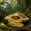 Tiny Plastic Rock Cave For Small Lizards Spiders-Yellow 5