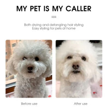 Pet Hair Dryer with Slicker Brush,Professional Grooming Tool for Pet, Furry Drying Blower, EU Plug