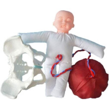 Life Size Childbirth Training Model with Baby and Birthing Pelvis for Midwifery and Obstetric Teaching